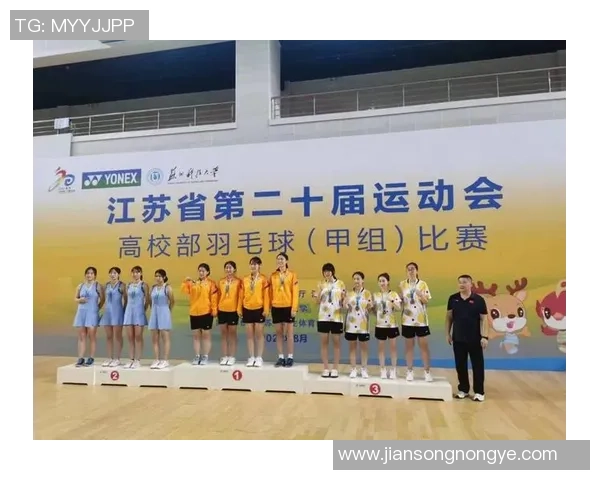 南京羽毛球队逆风翻盘的创新之路与未来展望